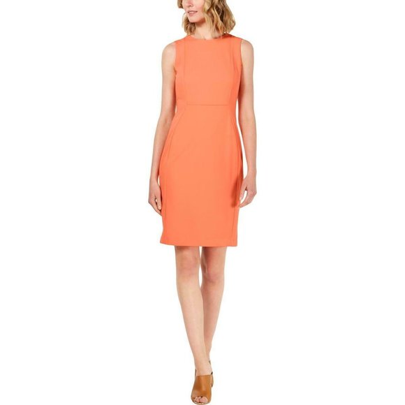 Calvin Klein Dresses & Skirts - Calvin Klein • Sleeveless Knee-Length Dress • 12